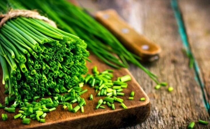 Ceapă verde