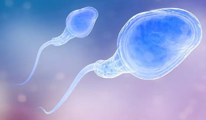 Spermatozoizii pot fi prezenți în pre-ejacularea unui bărbat